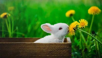 开云官网-中超联赛中国队战平 球员表现稳健，中超联赛中国队战平 球员表现稳健还是稳定