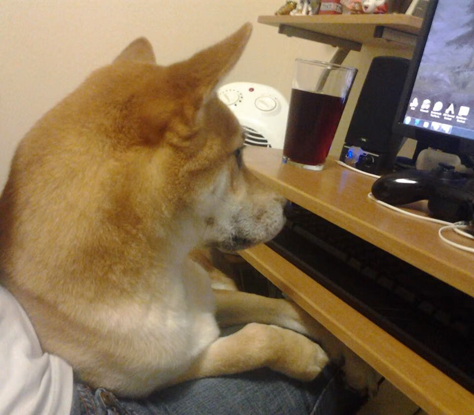 _红土流金：最具观赏价值的本土赛事_，红土百度百科