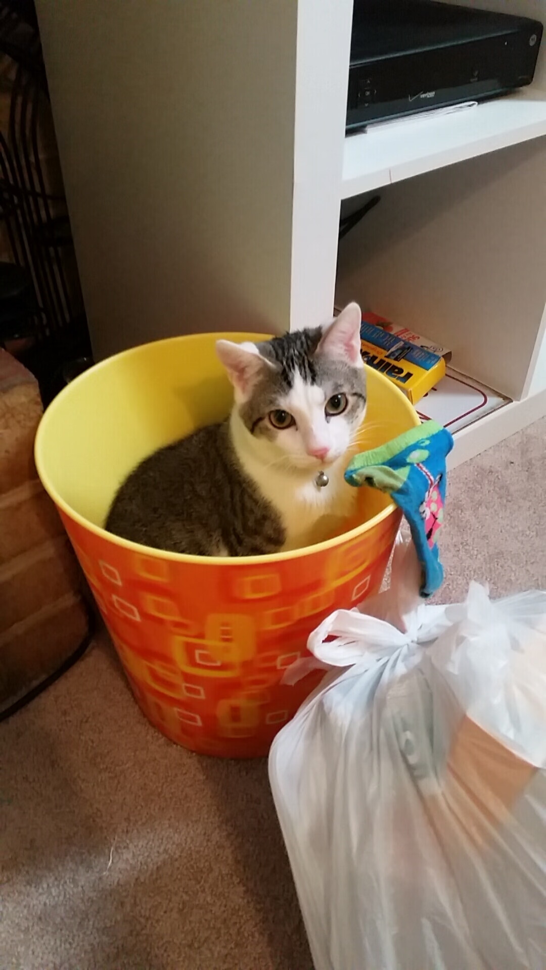 开云kaiyun-“英超最后冲刺，榜首球队全员迎战强敌”，英超最后一轮分析