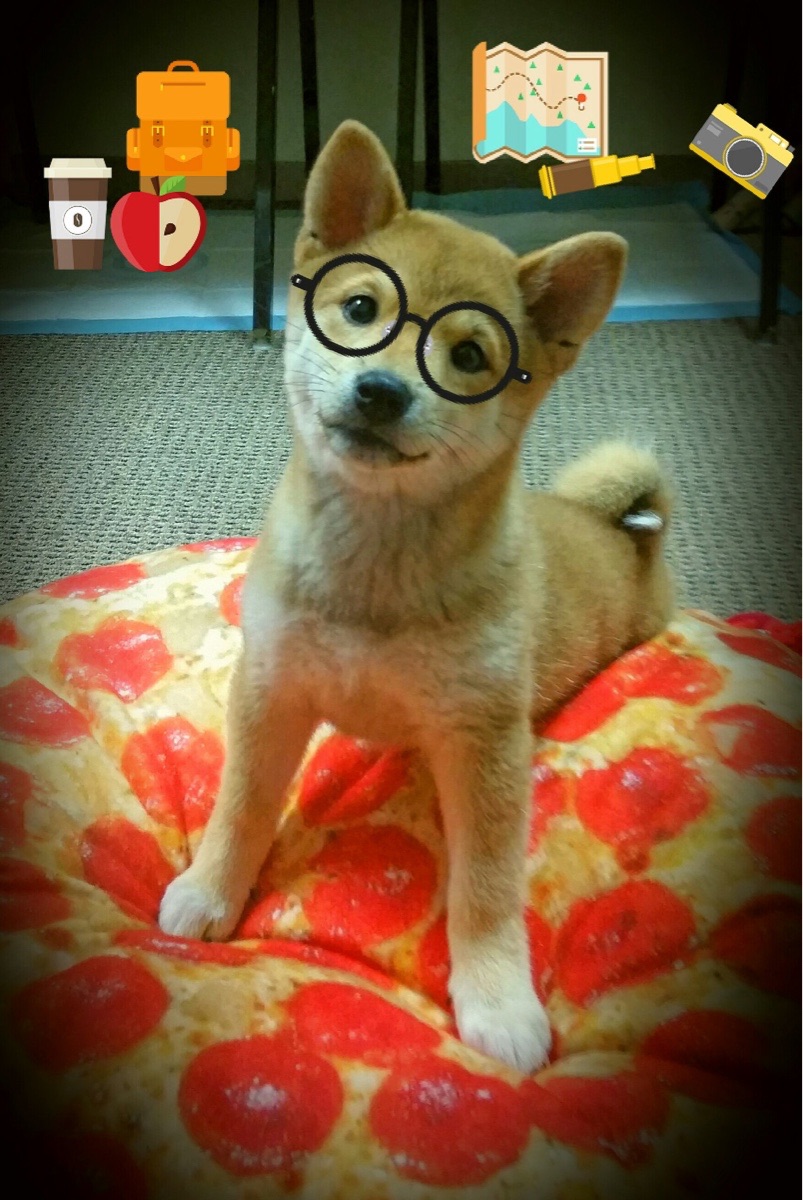 《CS_GO史诗决赛，现场气氛燃爆》，csgoiem决赛