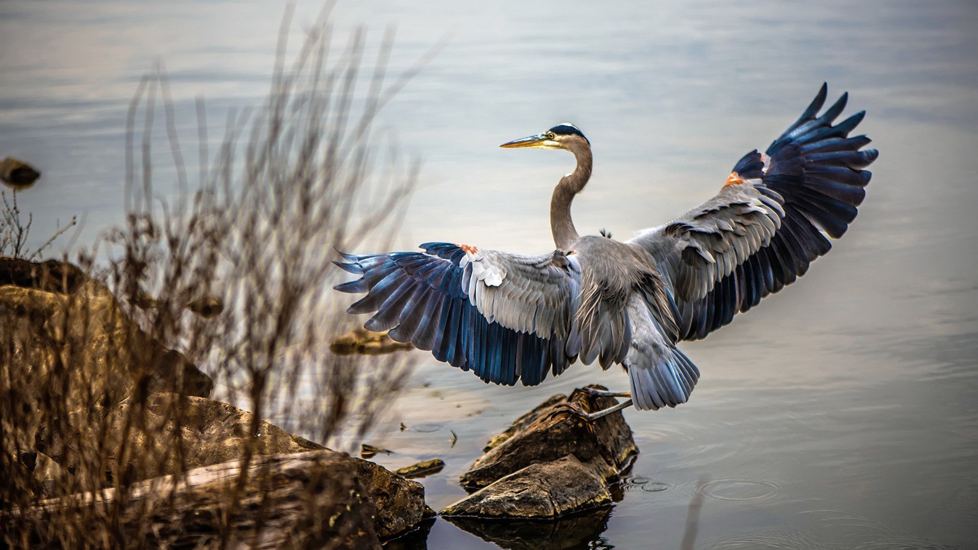 开云·体育官网APP下载-《解密：电竞职业选手的日常训练安排》，电竞选手的训练要求