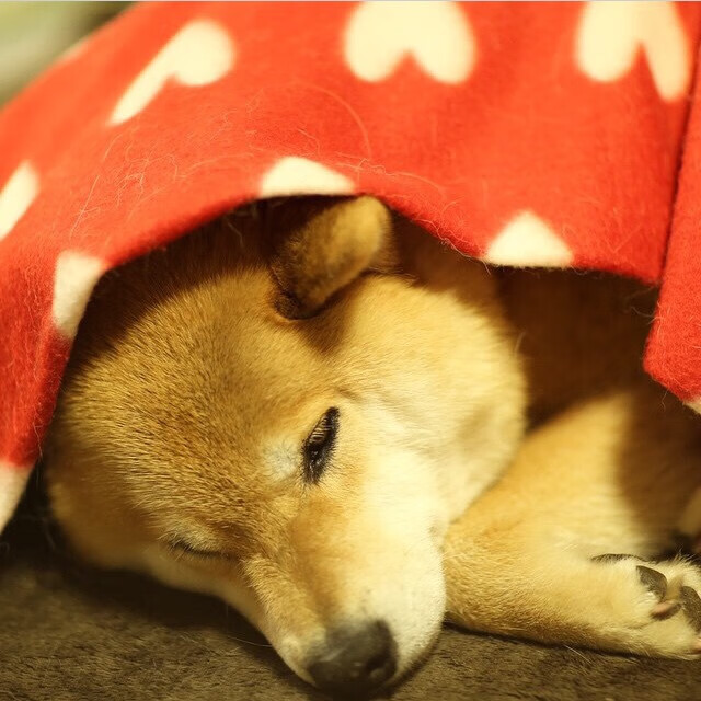 【顶级对决】丁俊晖与奥沙利文精彩集锦，谁能问鼎？，丁俊晖与奥沙利文战绩