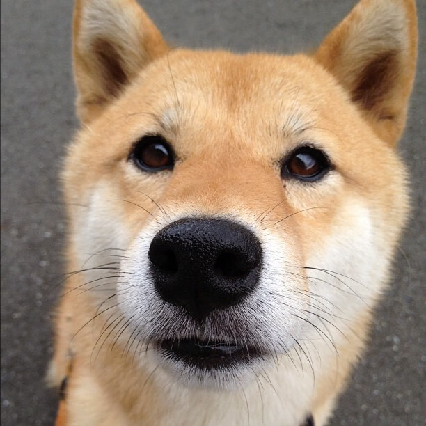 【规则变革的测试】哪些新规则已成功试点？效果怎样？，规则改革