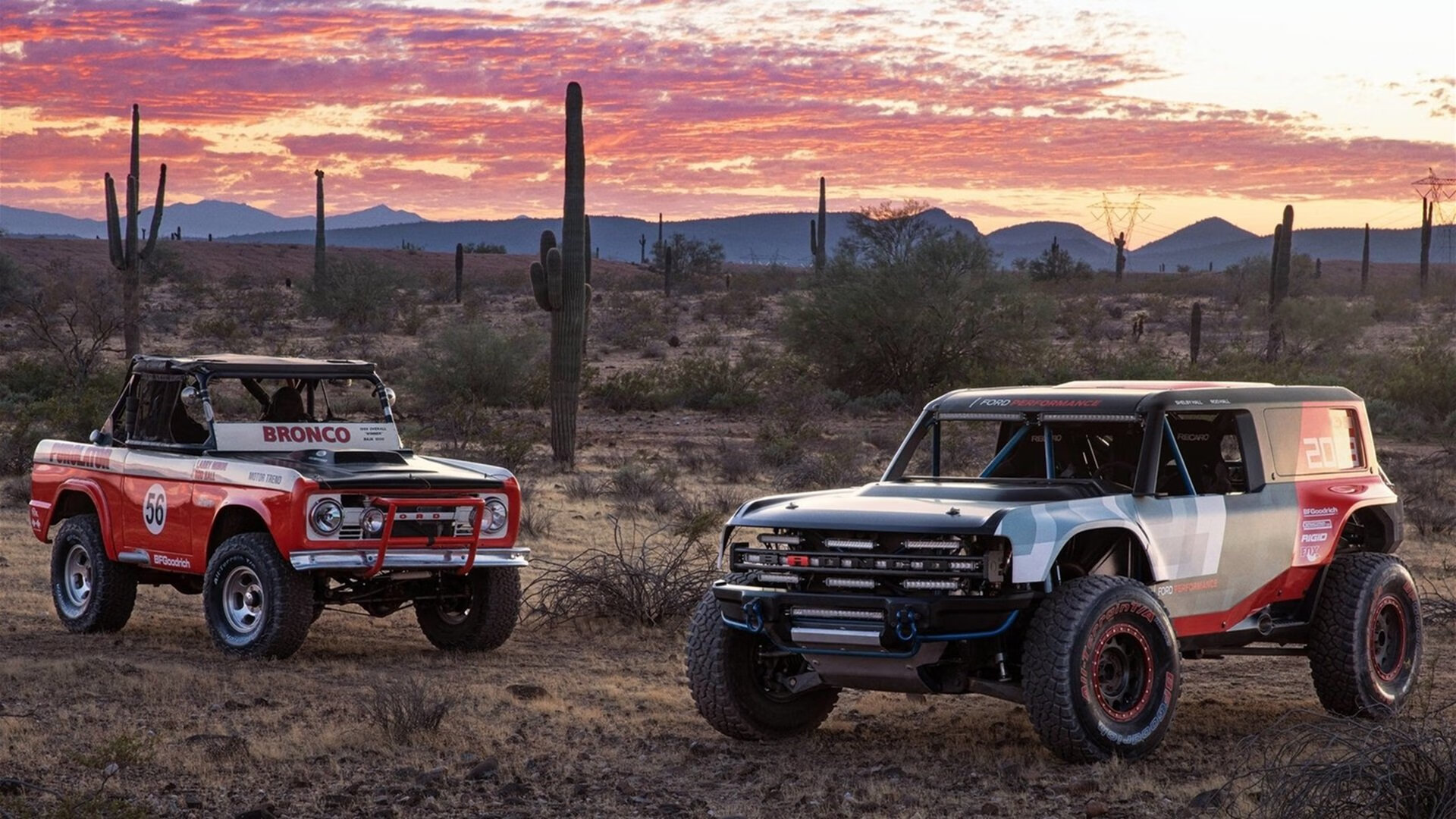 kaiyun开云·官方网站-传统舞狮竞技赛，舞动青春的民族精粹