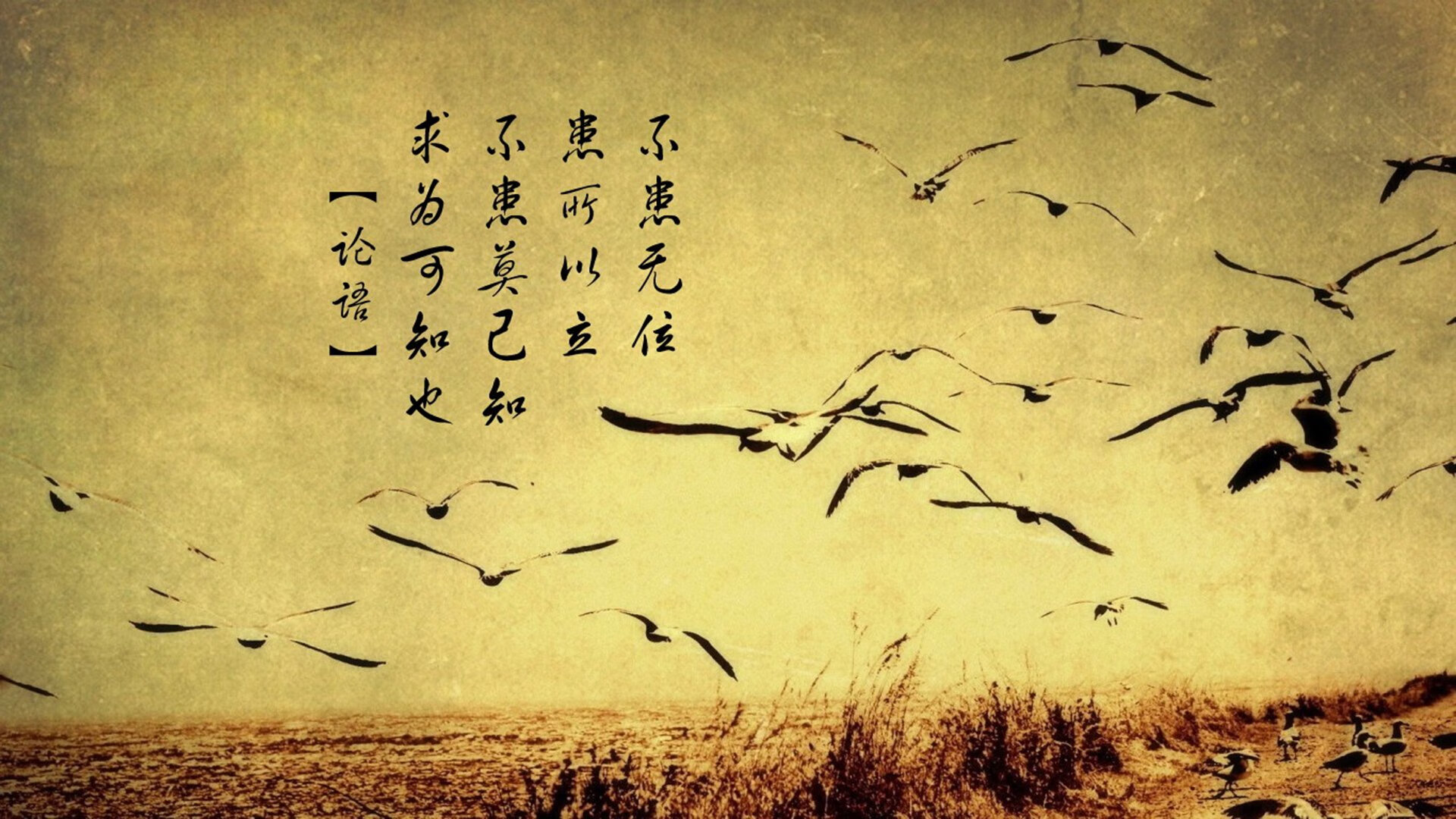 开云网页版-历史对比：今季积分变化与往年同期分析，年度积分排名更新