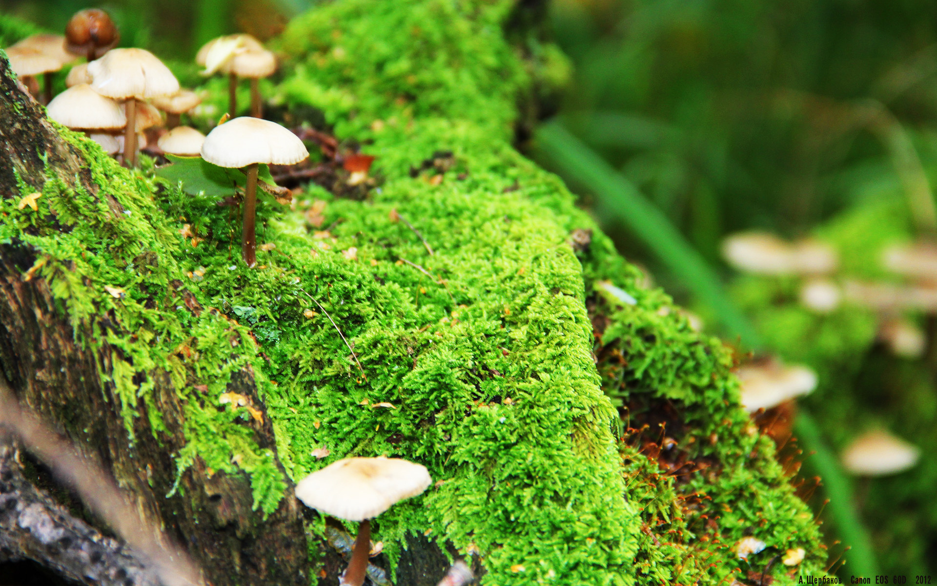 LCK研究院发布《2025年电竞教育蓝皮书》,电竞教育论坛