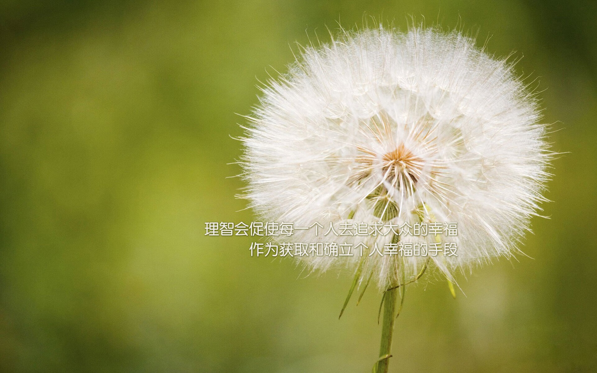 RNG选手参加国家级反兴奋剂讲座，国家反兴奋剂中心官网