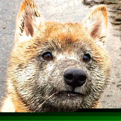 RNG选手参加国家级反兴奋剂讲座，国家反兴奋剂中心官网