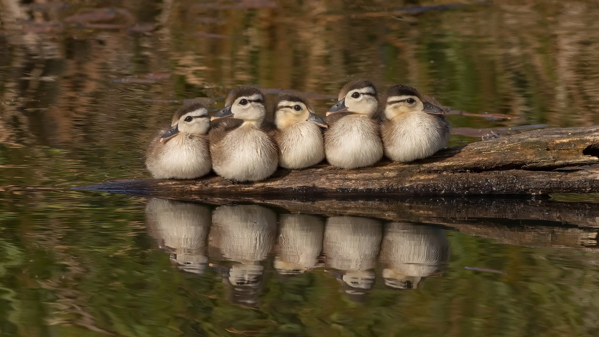 国足在国际友谊赛中的战术演练评估，国足阵容战术