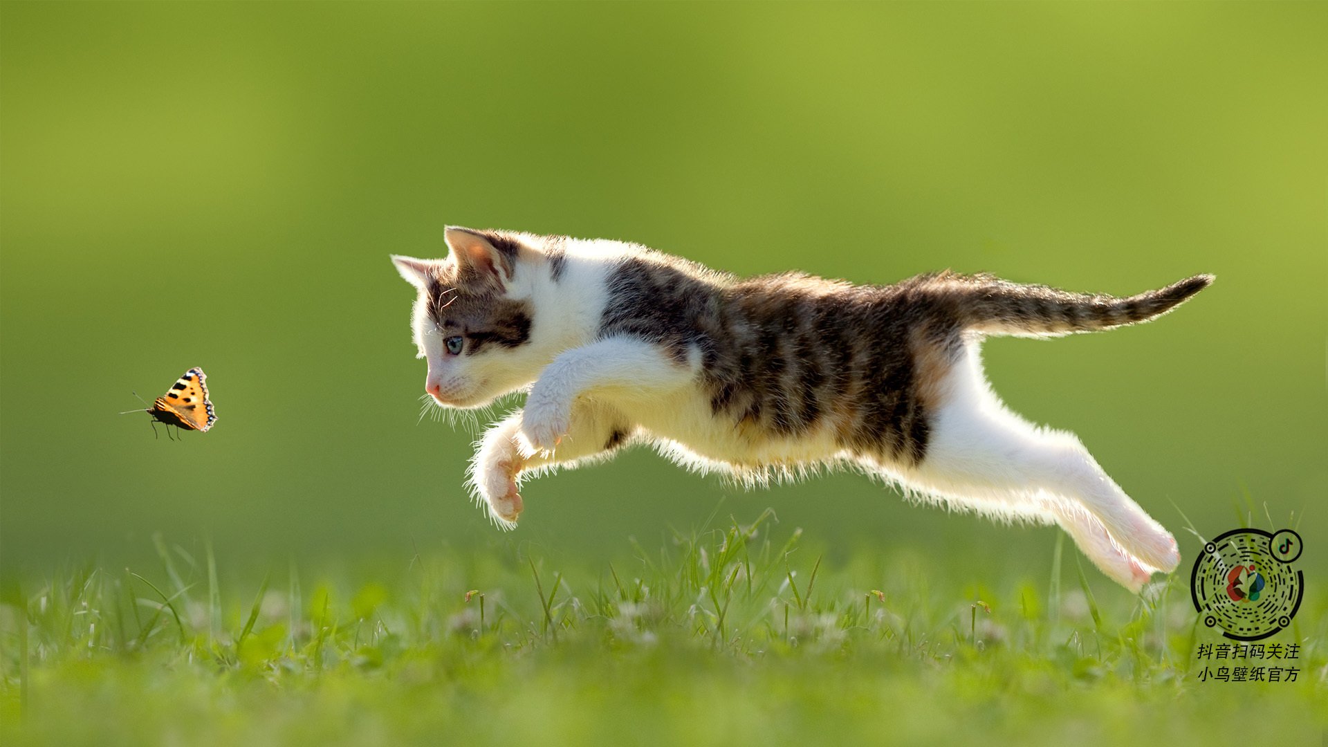 教练团队多次布局训练方案,提高整体实力,教练技术团队打造