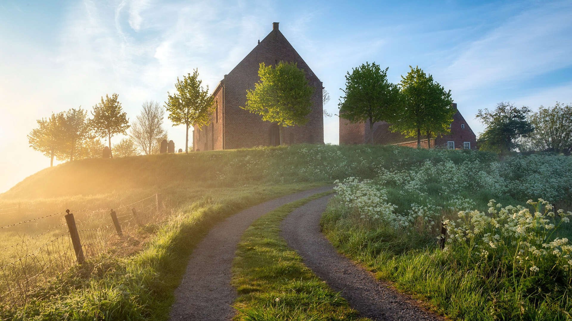 王者荣耀高校联赛全国总决赛即将开赛，王者荣耀高校联赛总冠军
