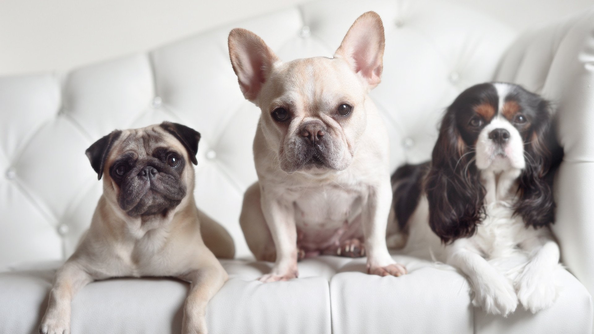 精妙团队配合，带领球队取得惊人逆转！，团队精锐