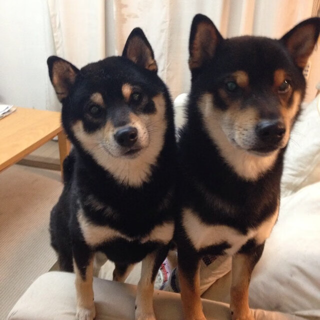 阿森纳客场大胜西汉姆,温格新的战术显现成效,阿森纳和温格