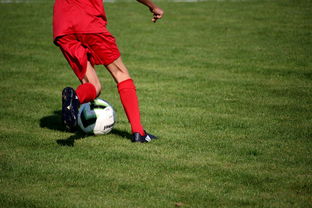 开云网页版-中国篮球职业联赛俱乐部青训体系建设，全国篮球俱乐部青年联赛