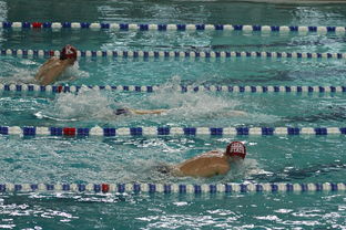 开云网站-亚洲游泳冠军赛孙杨携队友力夺接力金，中国游泳冠军孙扬