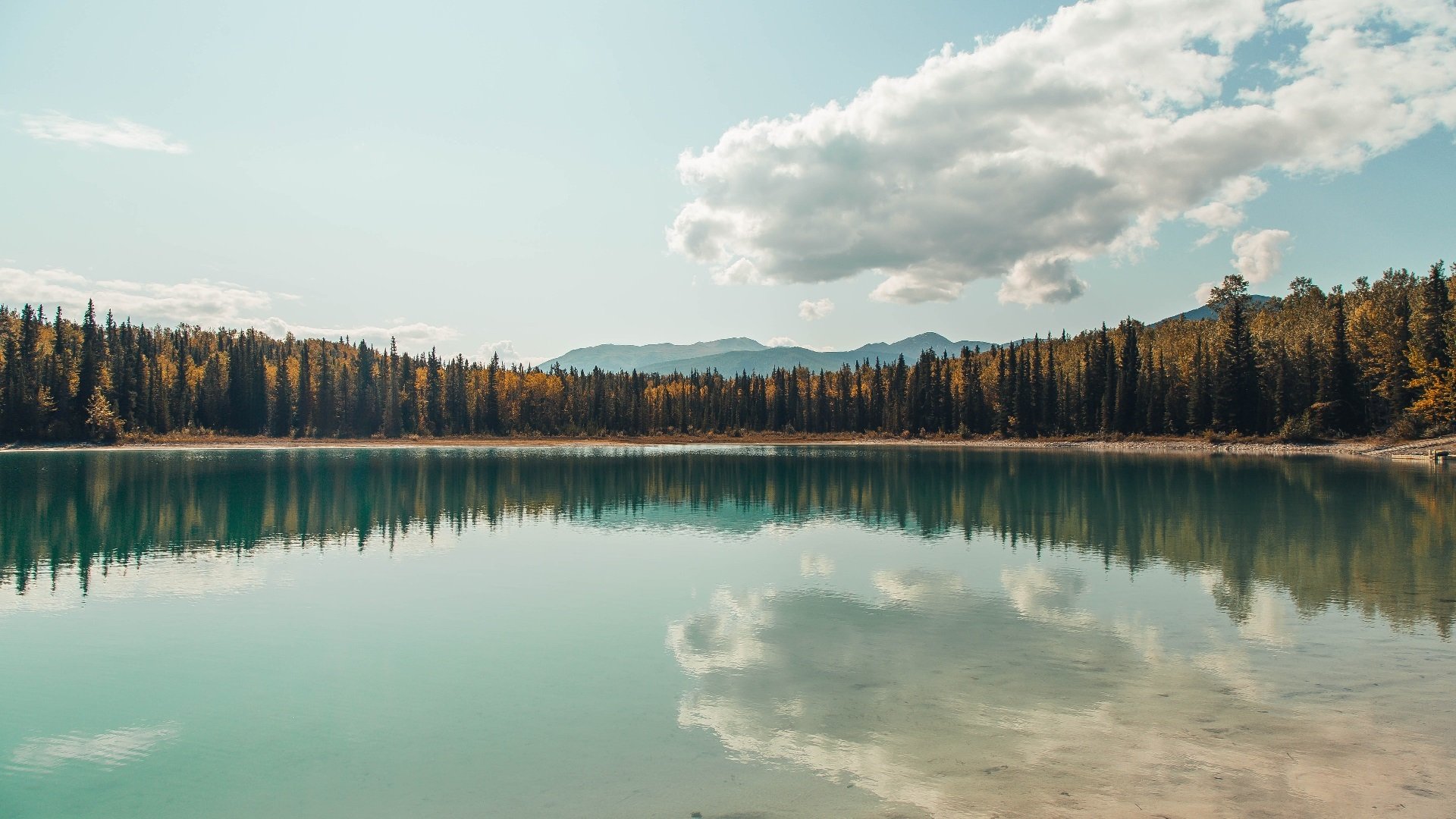CBA联赛推广篮球文化 吸引更多年轻球迷，cba篮球推荐分析