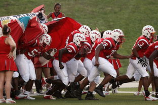 开云kaiyun-青少年体育社团快速发展 激发校园活力，体育社团开展