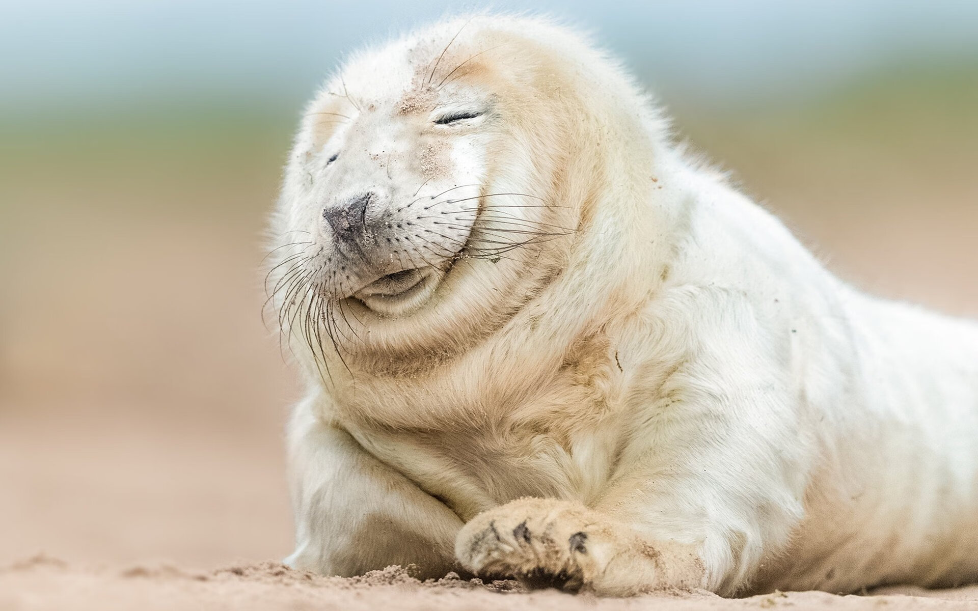 开云网页版-“费尔南多·比亚尔巴：阿根廷橄榄球的进攻标杆，未来无限”