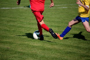 kaiyun中国官方网站-国家女篮训练日程公开每日训练内容紧张高效，国家队女篮在哪里训练