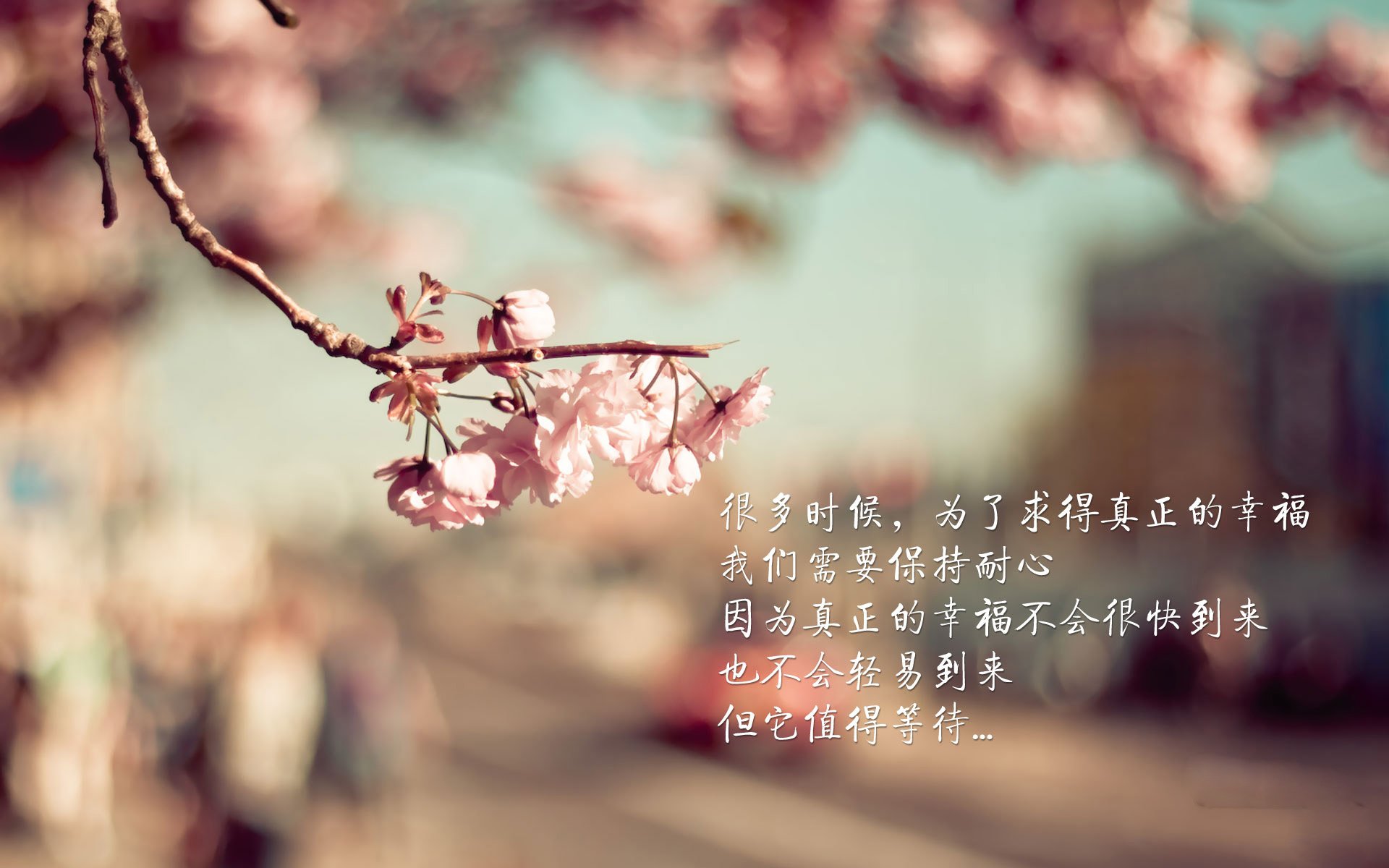 国家体育总局通报退役运动员学历提升通道最新政策，退役国家运动员待遇