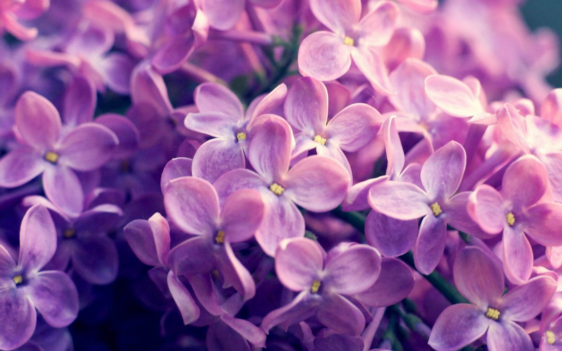 国王场边训练照展示球员专注面貌，国王 球队