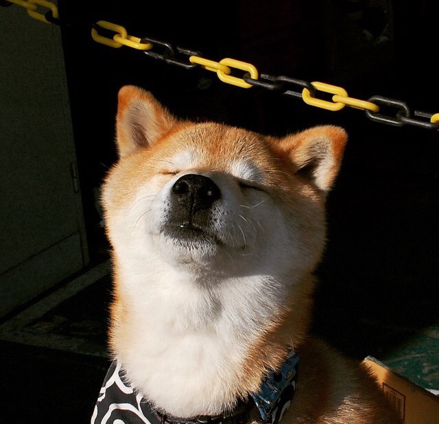 斯洛伐克女篮在欧洲锦标赛中战绩优异,力求突破