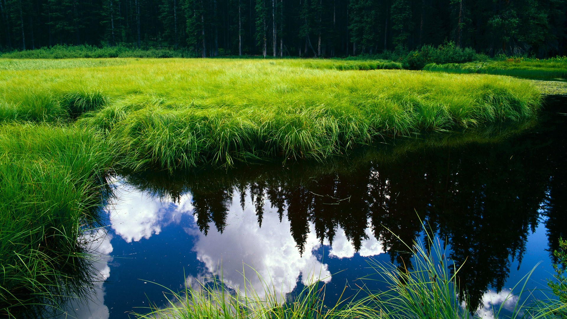 皇马青训不断涌现新星，未来阵容令人期待