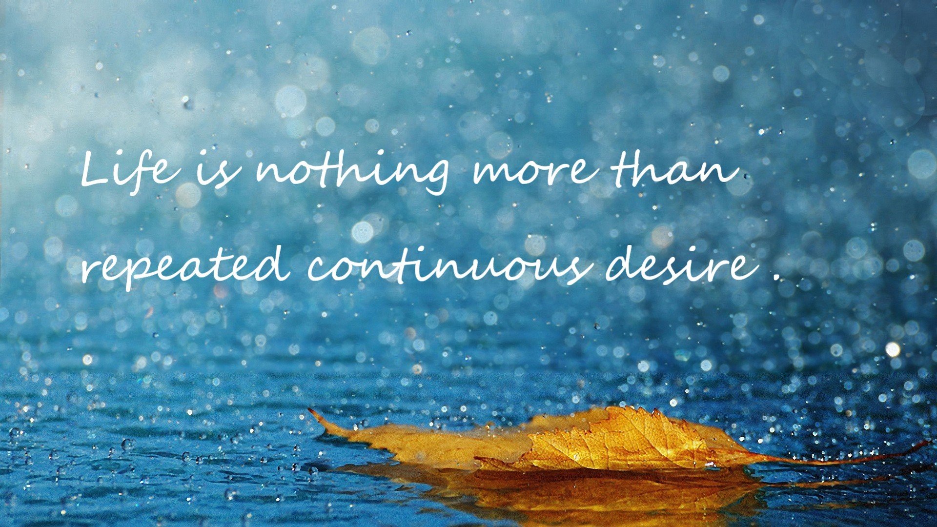 高尔夫锦标赛风云 名将们的策略对决,高尔夫球锦标赛